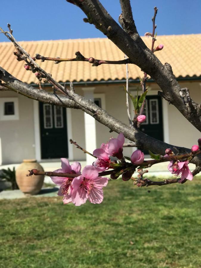 Tamaris Beach House Acharavi  Exterior photo